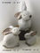 小さく装飾的なウサギの庭は家/中庭のための動物を飾ります サプライヤー